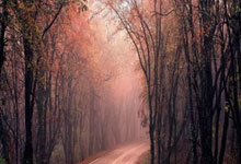 乐鱼leyu：渡邊雄太的妻子曬出了2024年的聖誕合照難道不想讓人心煩嗎.