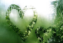 乐鱼leyu：高宝璟11次出战汇丰女子世锦赛 提提库力争取胜.